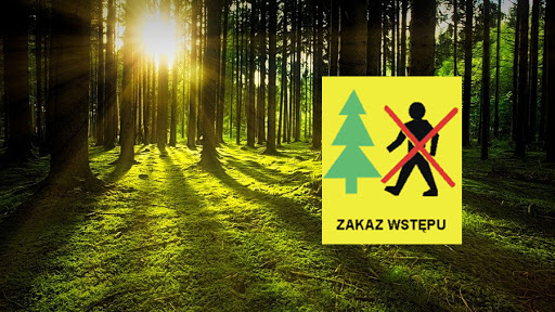 Zakaz wstępu do lasów - petycja o zniesienie !!! 2