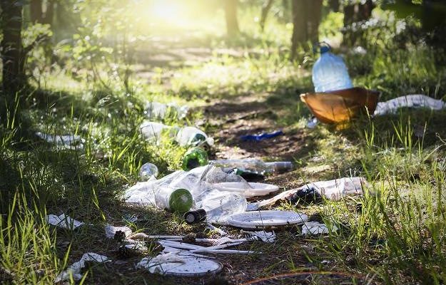 Minister Środowiska wypowiedział wojnę śmiecącym w lasach 5