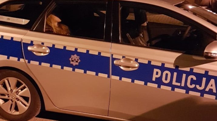 Świadek kradzieży powiadomił policję, złodzieja namierzył pies służący w częstochowskiej policji 1