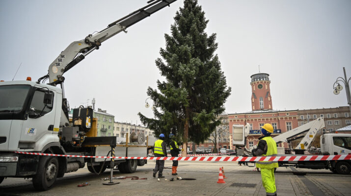 Na Placu Biegańskiego w Częstochowie stanęła już choinka. Bożonarodzeniowe drzewko, podobnie jak pozostałe dekoracje świąteczne zostanie podświetlona w weekend 1