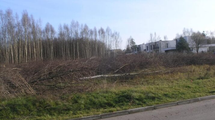 W częstochowskiej dzielnicy Grabówka wycięto kilkaset drzew i krzewów. Miasto sprawdza, czy spółka, która to zleciła ma wszystkie niezbędne pozwolenia 2