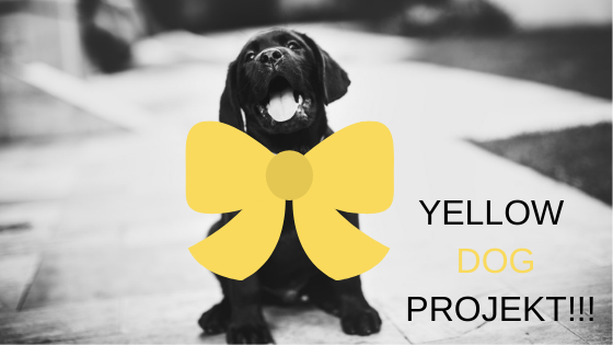 Yellow Dog Projekt – czyli więcej przestrzeni dla naszego czworonoga 5