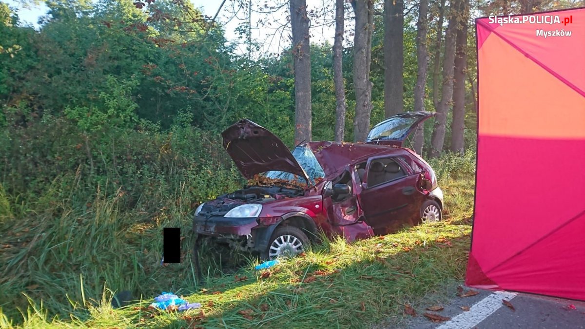 Śmiertelny wypadek w Myszkowie. Samochód uderzył w drzewo 9