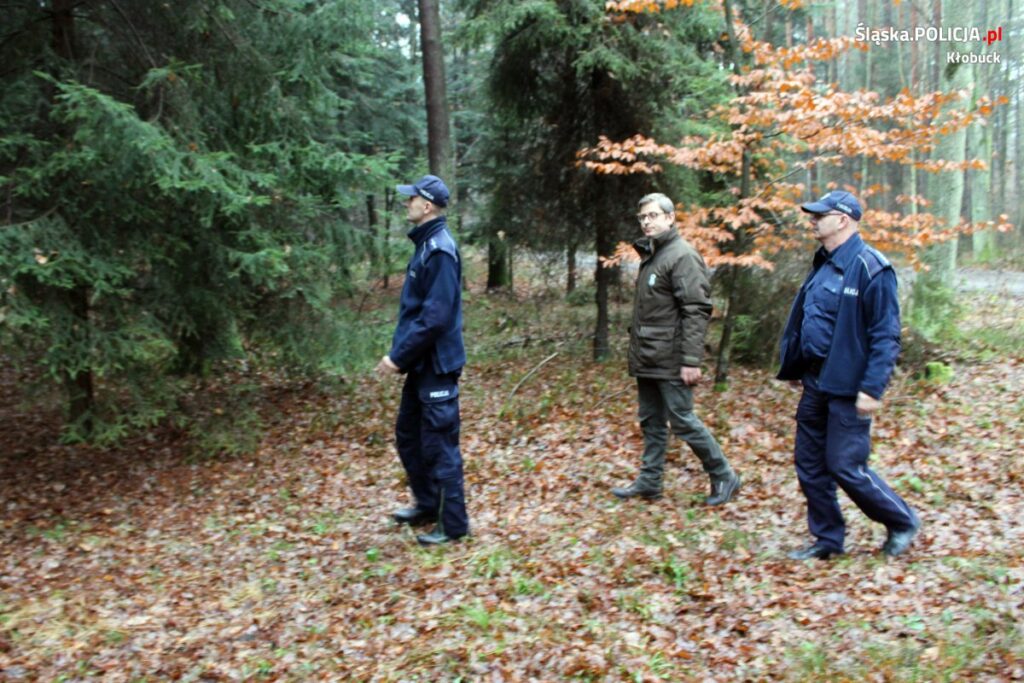 Policjanci i strażnicy leśni pilnują choinek 5