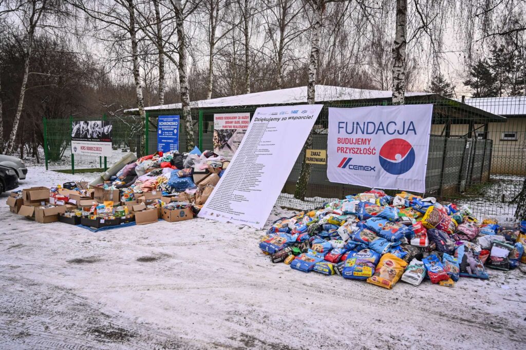 Zwierzaki też dostały świąteczne prezenty 4