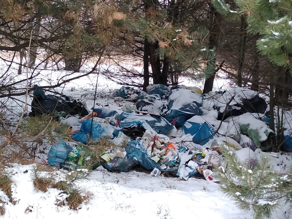 Śmieci w lesie pod Kłobuckiem. Policja bada znalezione na wysypisku paragony i szuka świadków 6