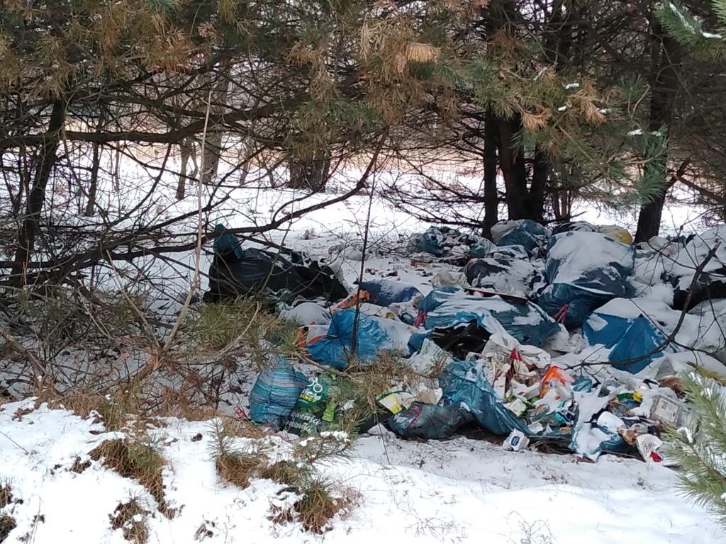 Śmieci w lesie pod Kłobuckiem. Policja bada znalezione na wysypisku paragony i szuka świadków 4