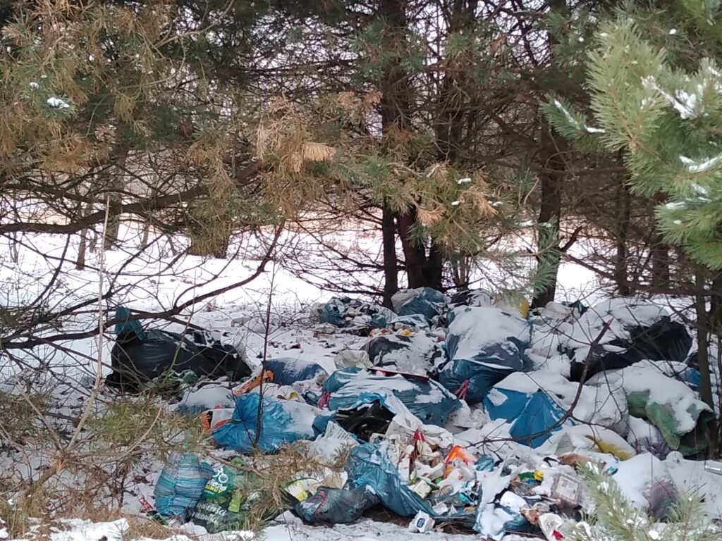 Śmieci w lesie pod Kłobuckiem. Policja bada znalezione na wysypisku paragony i szuka świadków 3