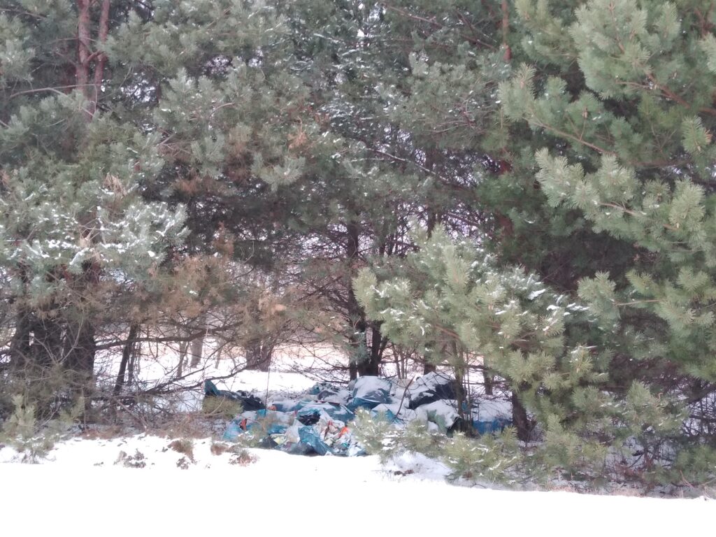 Śmieci w lesie pod Kłobuckiem. Policja bada znalezione na wysypisku paragony i szuka świadków 1