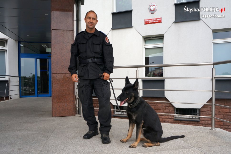 Czworonożna „funkcjonariuszka” z Częstochowy pomogła policjantom z Lublińca 9