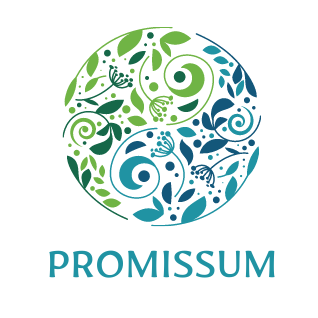 Fundacja Promissum-obietnica lepszego jutra 2