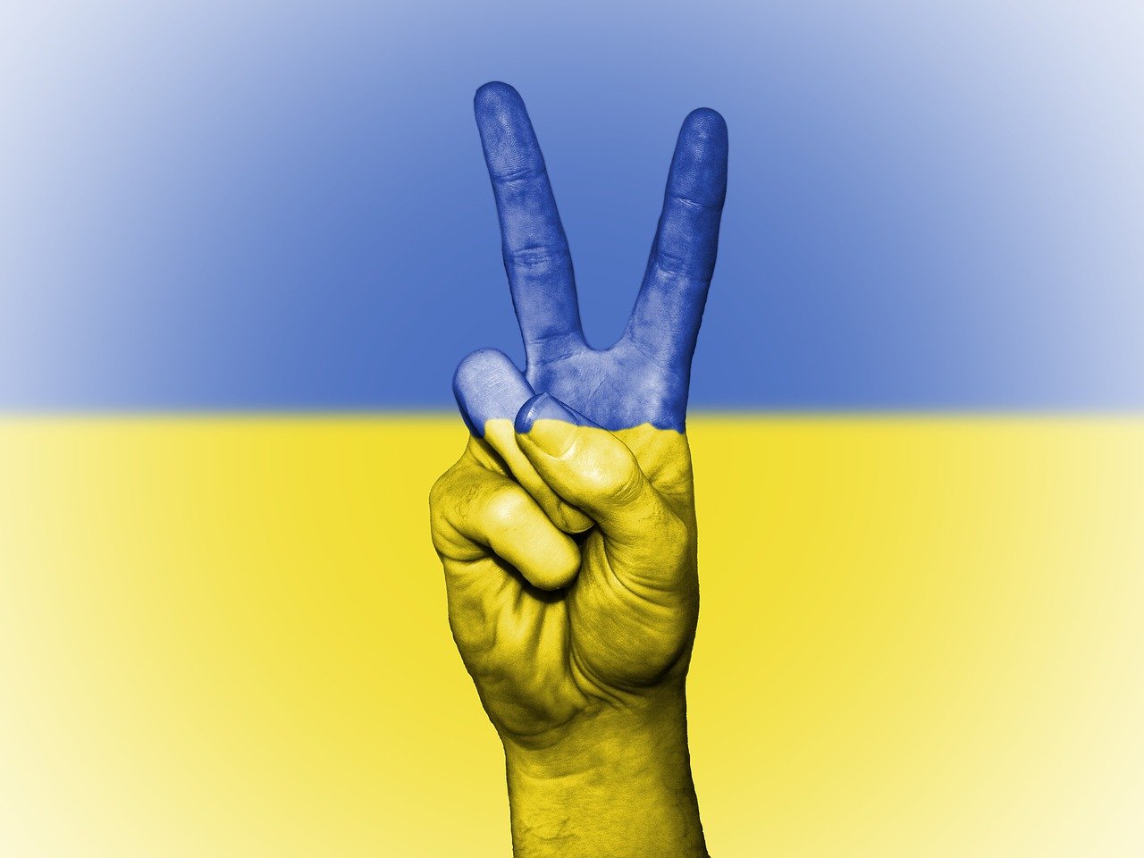 Blachownia. Zbiórka dla Ukrainy 8