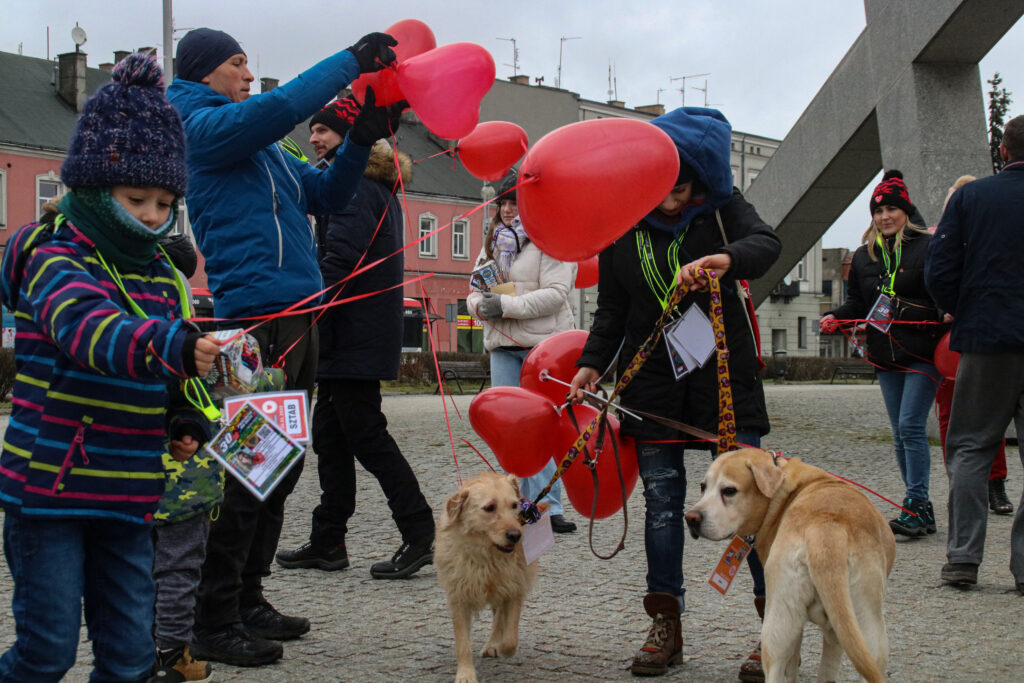 Częstochowski sztab WOŚP podliczył puszki. Ile zebrano w tym roku? 34