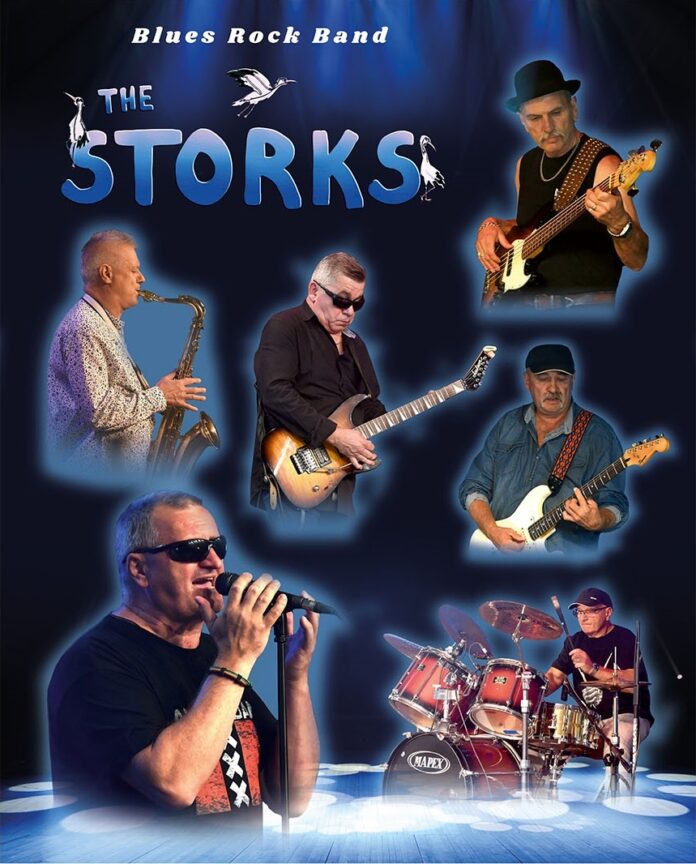 Częstochowski zespół The Storks promuje debiutancką płytę. "Pierwszy lot" zabrzmi 25 marca 6