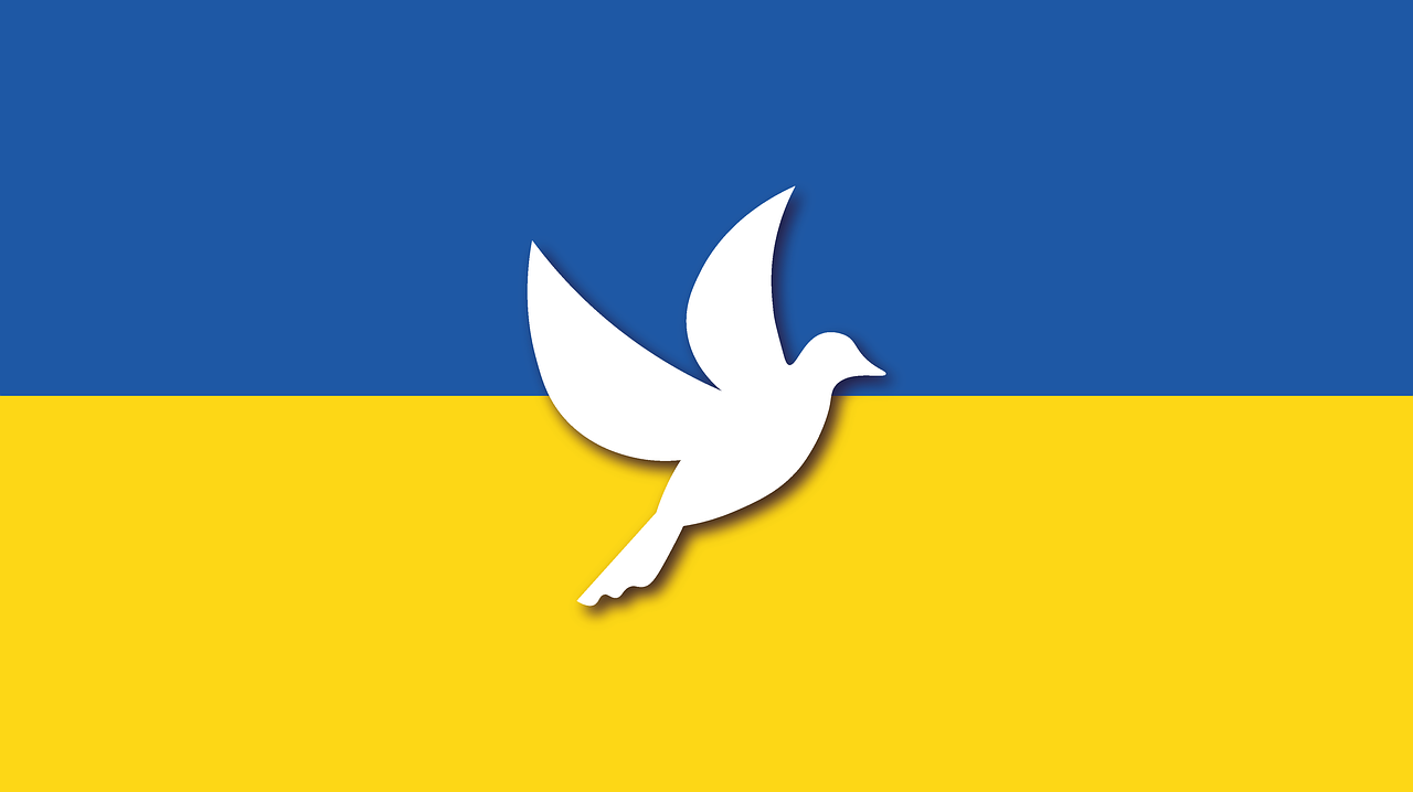 Gmina Koszęcin pomaga Ukrainie 3