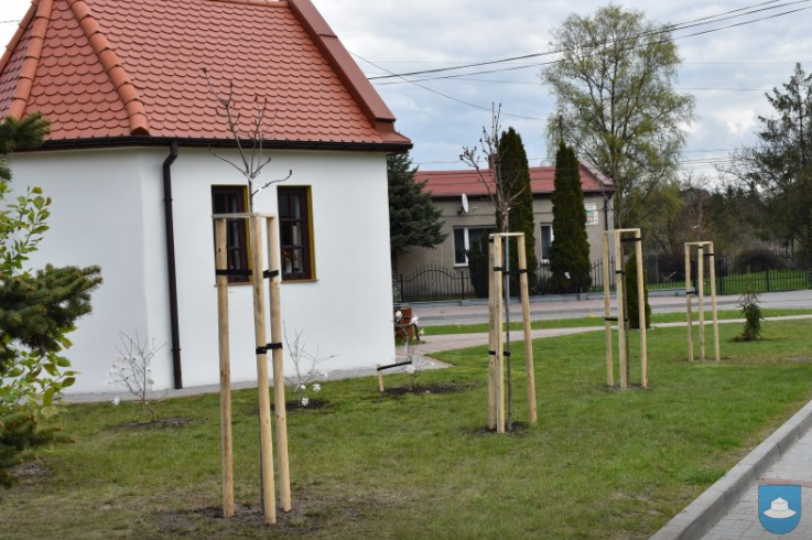 Wokół kapliczki przy ulicy Ogrójcowej w Kłobucku znowu jest zielono 2