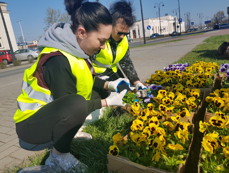 Wspólne sadzenie żółto-niebieskich kwiatów w geście wdzięczności dla mieszkańców Radomska 10