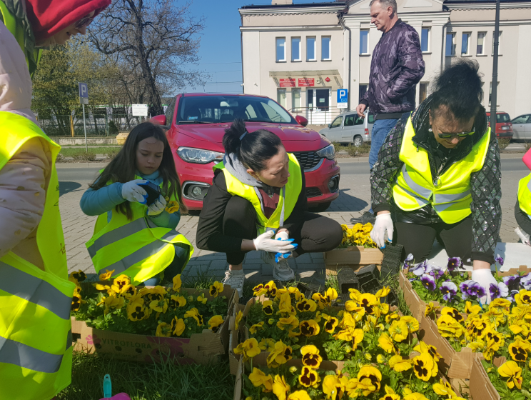Wspólne sadzenie żółto-niebieskich kwiatów w geście wdzięczności dla mieszkańców Radomska 25