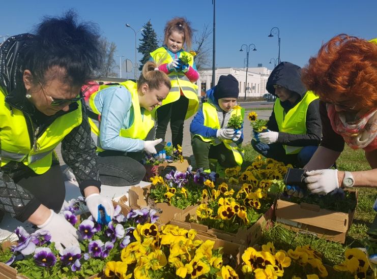 Wspólne sadzenie żółto-niebieskich kwiatów w geście wdzięczności dla mieszkańców Radomska 26