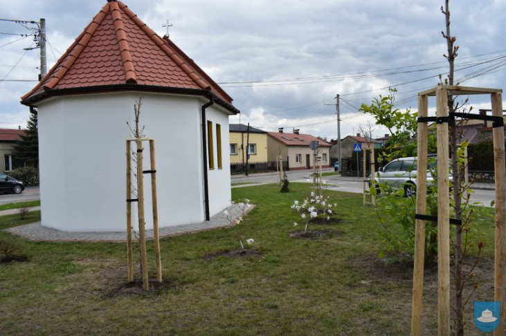 Wokół kapliczki przy ulicy Ogrójcowej w Kłobucku znowu jest zielono 8