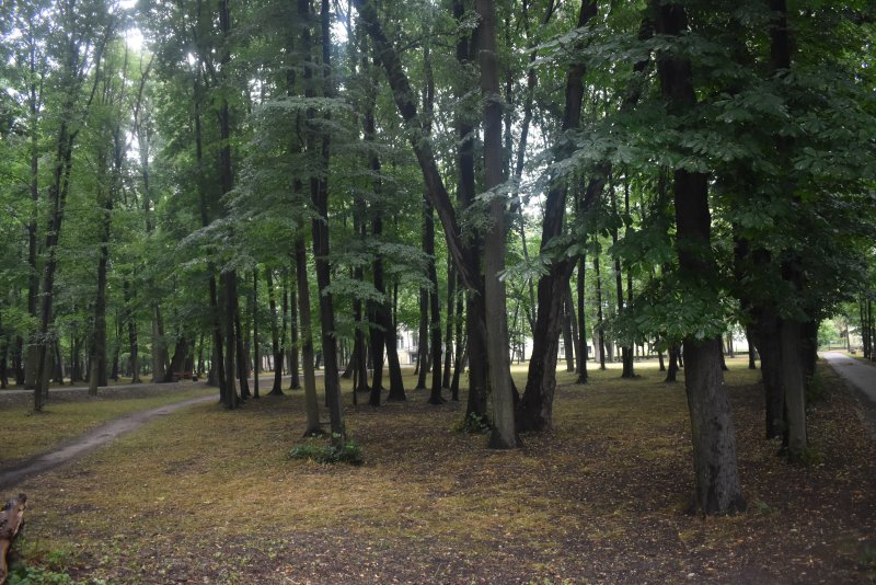 Rusza projekt rewitalizacji parku przy ulicy Zamkowej w Kłobucku 2