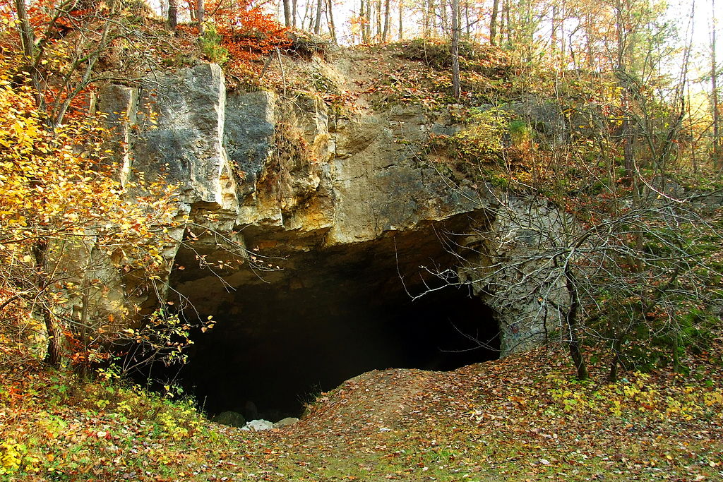 Kłobuck - Jaskinia Szachownica - największy w woj. śląskim dom nietoperzy nadal niepokojony przez turystów 1