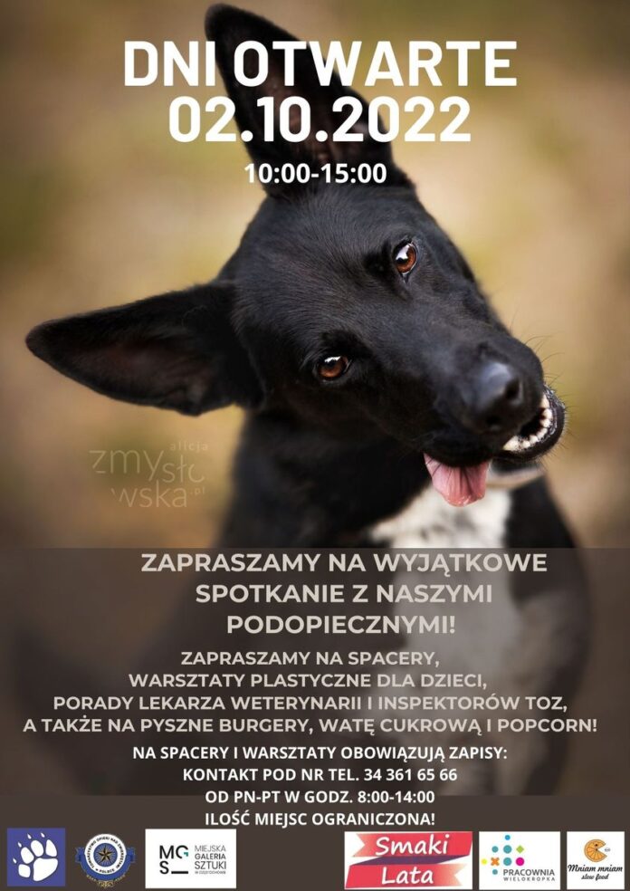 Schronisko dla Bezdomnych Zwierząt w Częstochowie organizuje Dni Otwarte 2