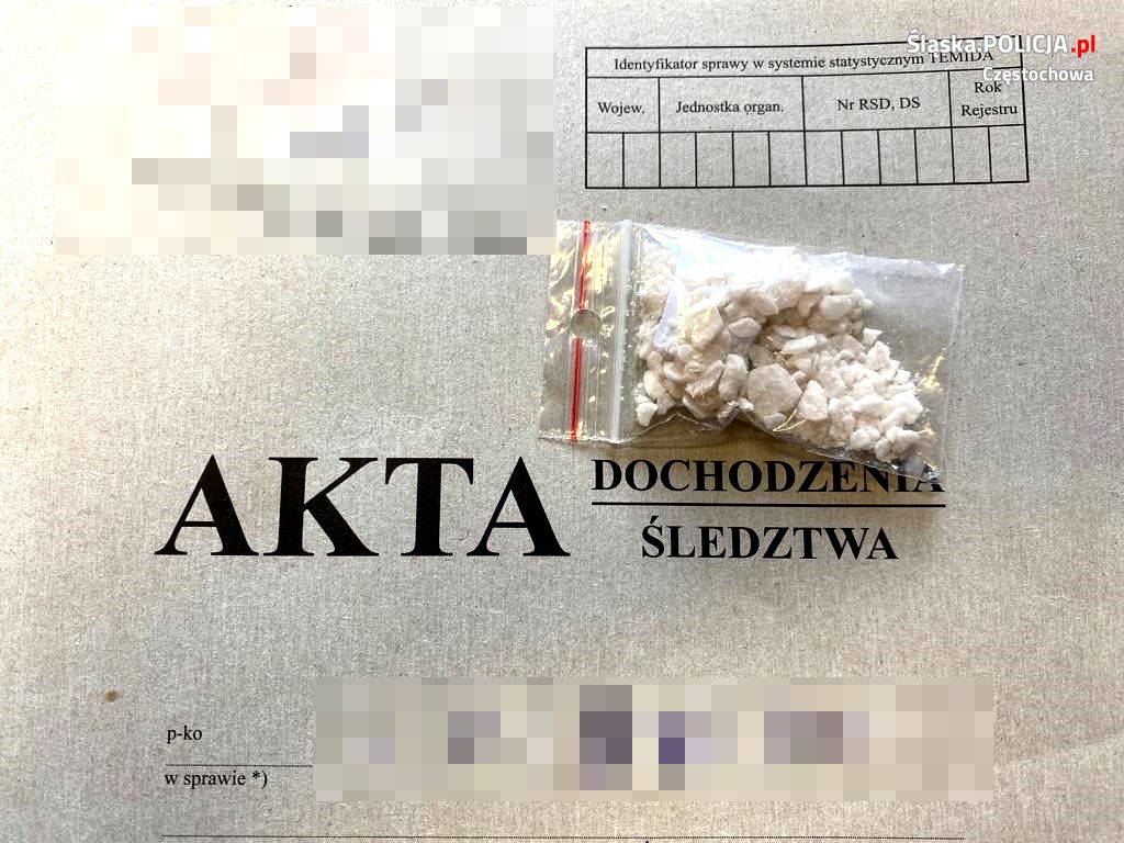 Częstochowscy policjanci zabezpieczyli ponad 400 dilerskich działek narkotyków 1