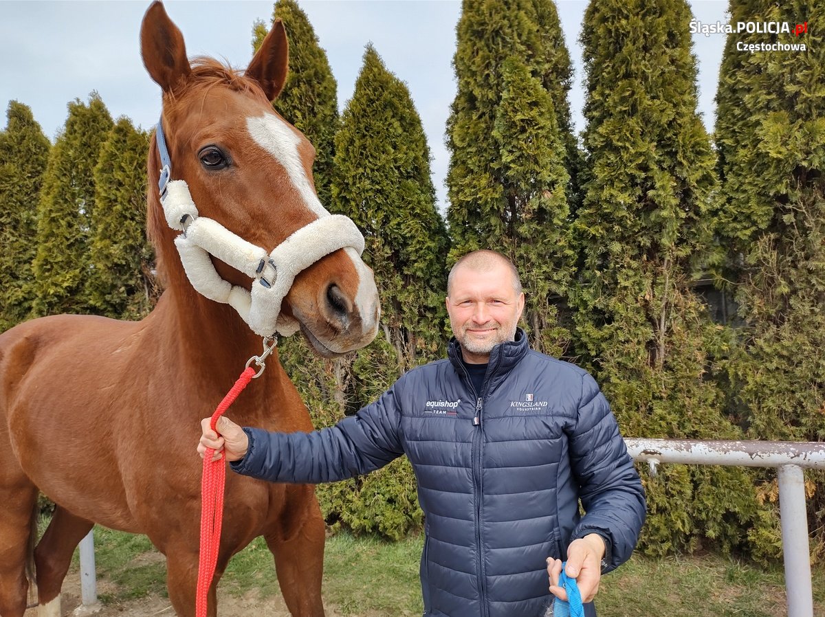 Po 15 latach służby policyjny koń Toszek został emerytem 5