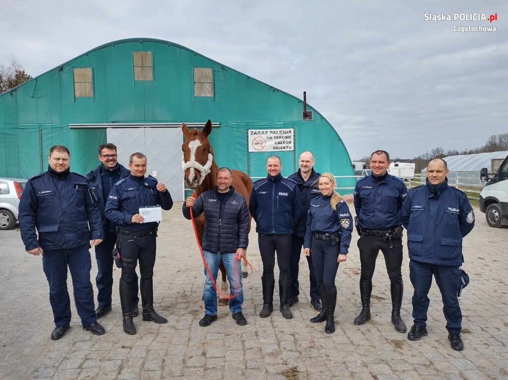 Po 15 latach służby policyjny koń Toszek został emerytem 2