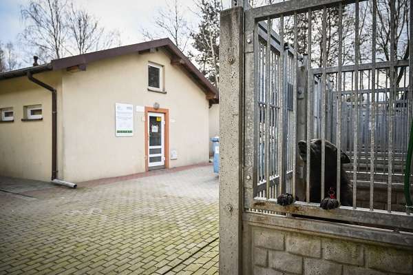Podsumowanie modernizacji Schroniska dla Bezdomnych Zwierząt w Częstochowie 6