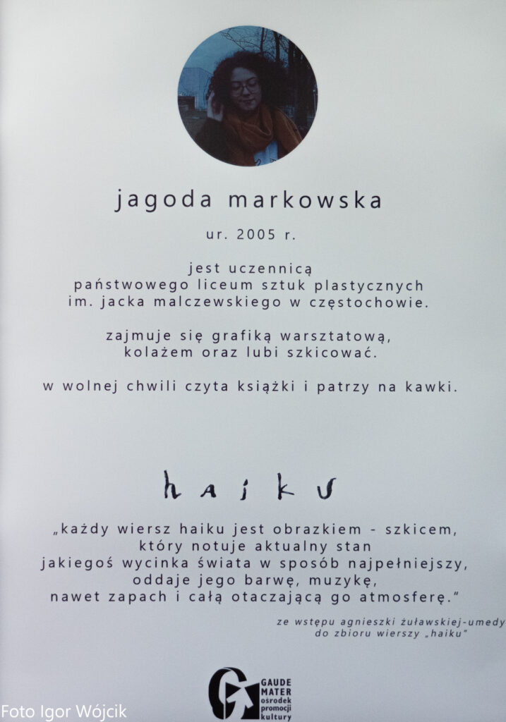 Jagoda Markowska: Prace niczym krótkie wiersze utrwalające ulotność i czar życia [ROZMOWA] 4