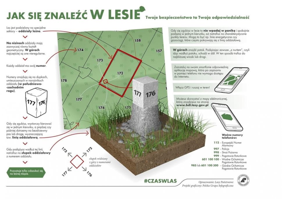 Śląska policja radzi, co zrobić, aby grzybobranie było bezpieczne 2