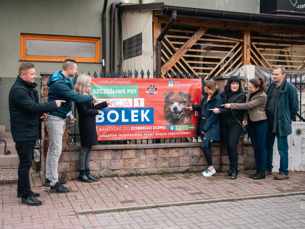 „Przedłużamy wybory!” w Częstochowie, czyli na pomoc bezdomnym czworonogom 16