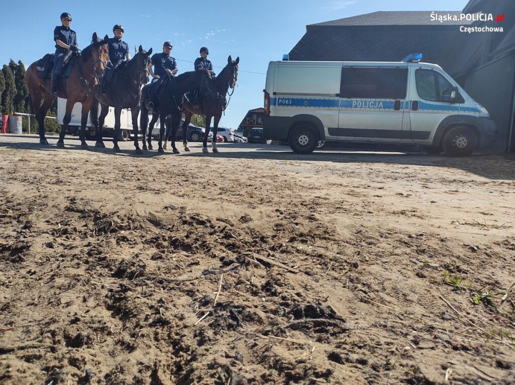 Częstochowskie konie policyjne gotowe do służby [ZDJĘCIA, WIDEO] 11