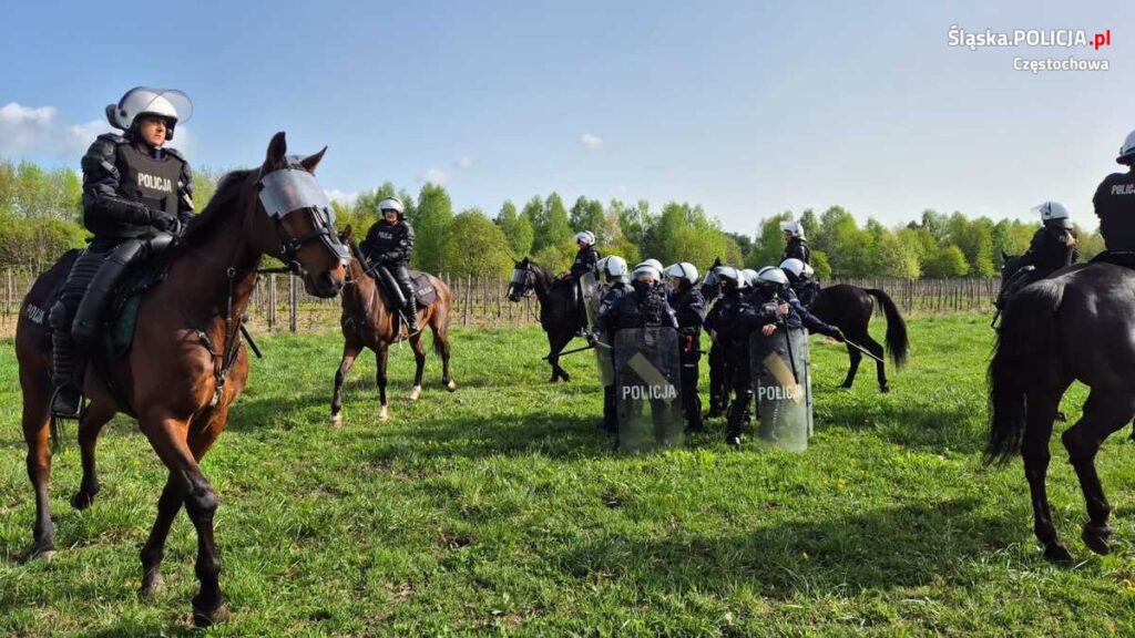 Częstochowskie konie policyjne gotowe do służby [ZDJĘCIA, WIDEO] 13
