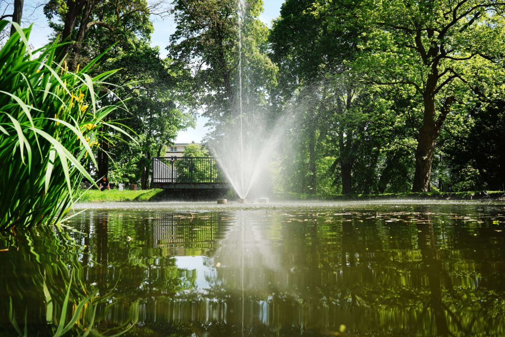 Częstochowa. Miejskie fontanny już działają [ZDJĘCIA] 18