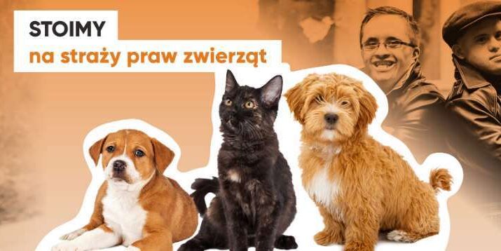"PSONI na straży praw zwierząt’’ już 21 maja w Częstochowie 8