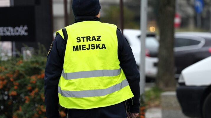 Mieszkanki i mieszkańcy Częstochowy wzywali Straż Miejską 120 razy na pomoc 1