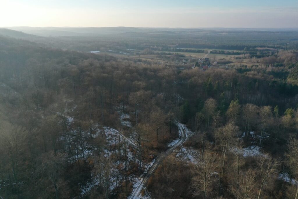 Ekologiczne ABC. Województwo śląskie bogatsze o 2 nowe rezerwaty przyrody – Góry Gorzkowskie i Babski Las. [Fotorelacja] 4