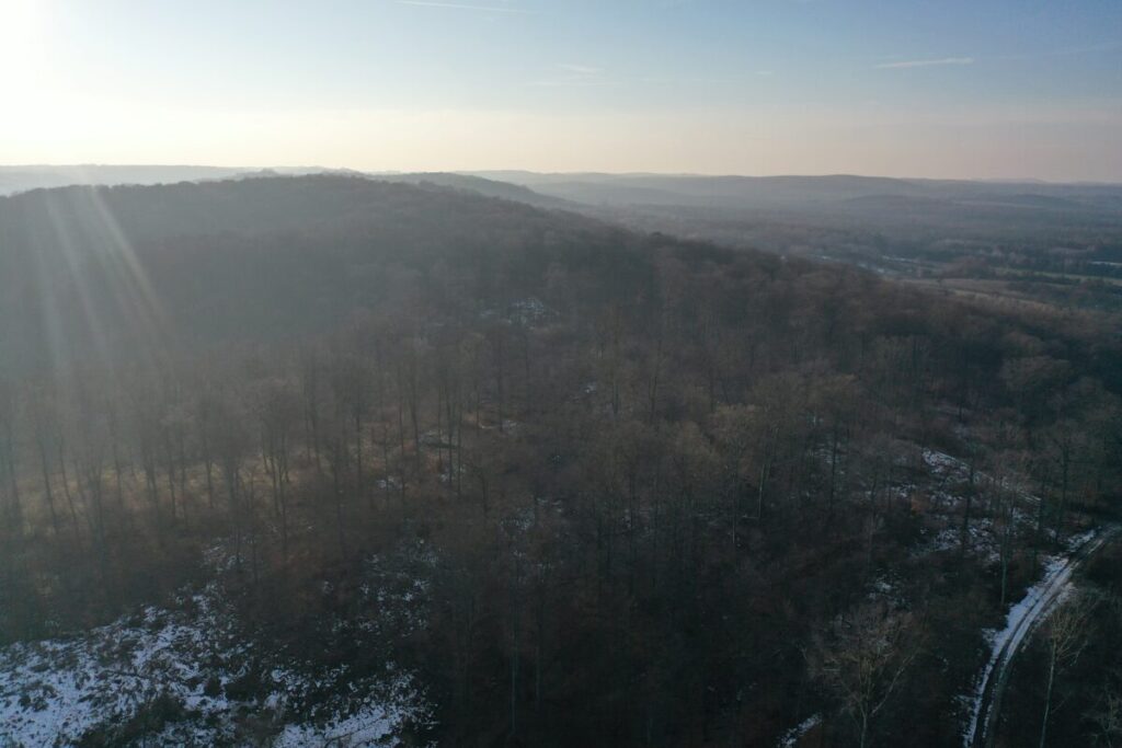 Ekologiczne ABC. Województwo śląskie bogatsze o 2 nowe rezerwaty przyrody – Góry Gorzkowskie i Babski Las. [Fotorelacja] 7