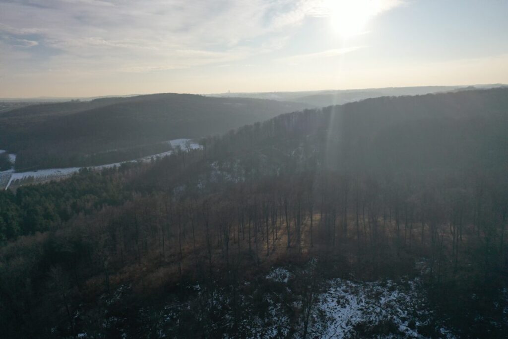 Ekologiczne ABC. Województwo śląskie bogatsze o 2 nowe rezerwaty przyrody – Góry Gorzkowskie i Babski Las. [Fotorelacja] 13