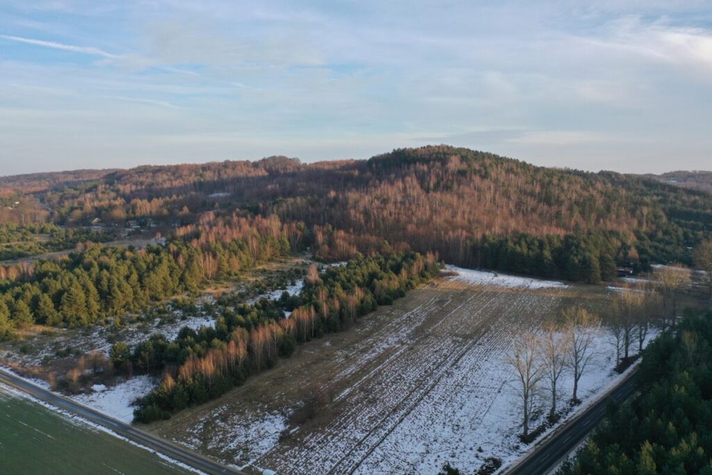 Ekologiczne ABC. Województwo śląskie bogatsze o 2 nowe rezerwaty przyrody – Góry Gorzkowskie i Babski Las. [Fotorelacja] 1