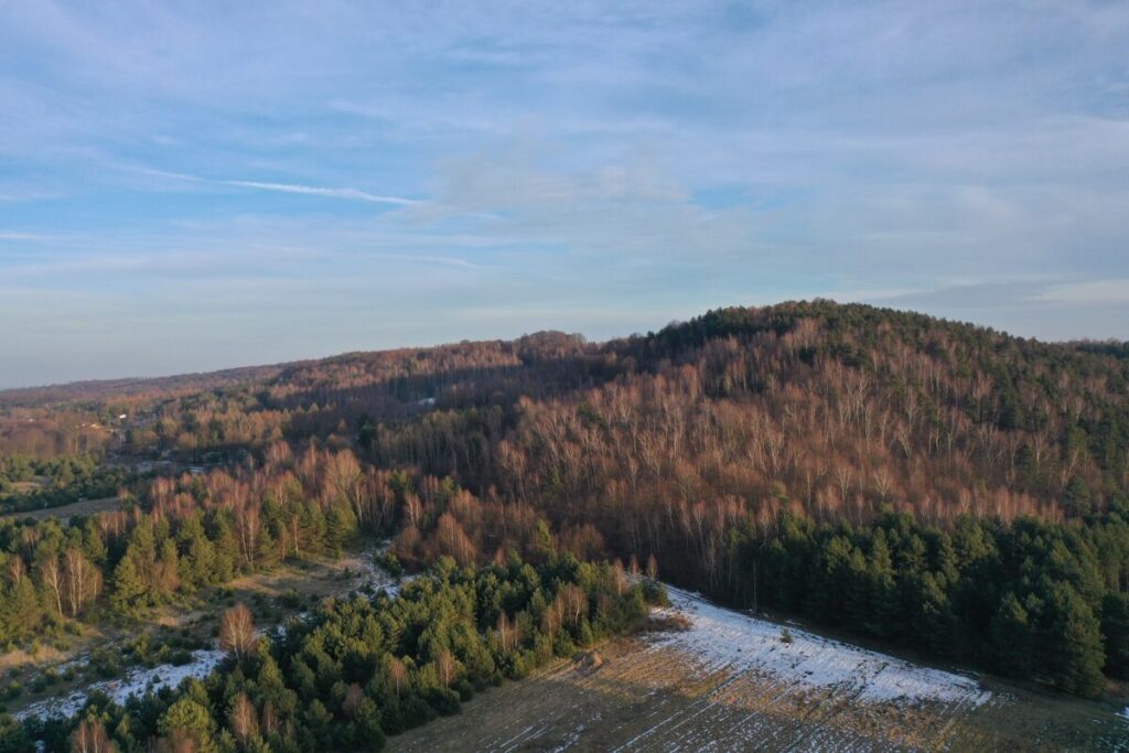 Ekologiczne ABC. Województwo śląskie bogatsze o 2 nowe rezerwaty przyrody – Góry Gorzkowskie i Babski Las. [Fotorelacja] 16