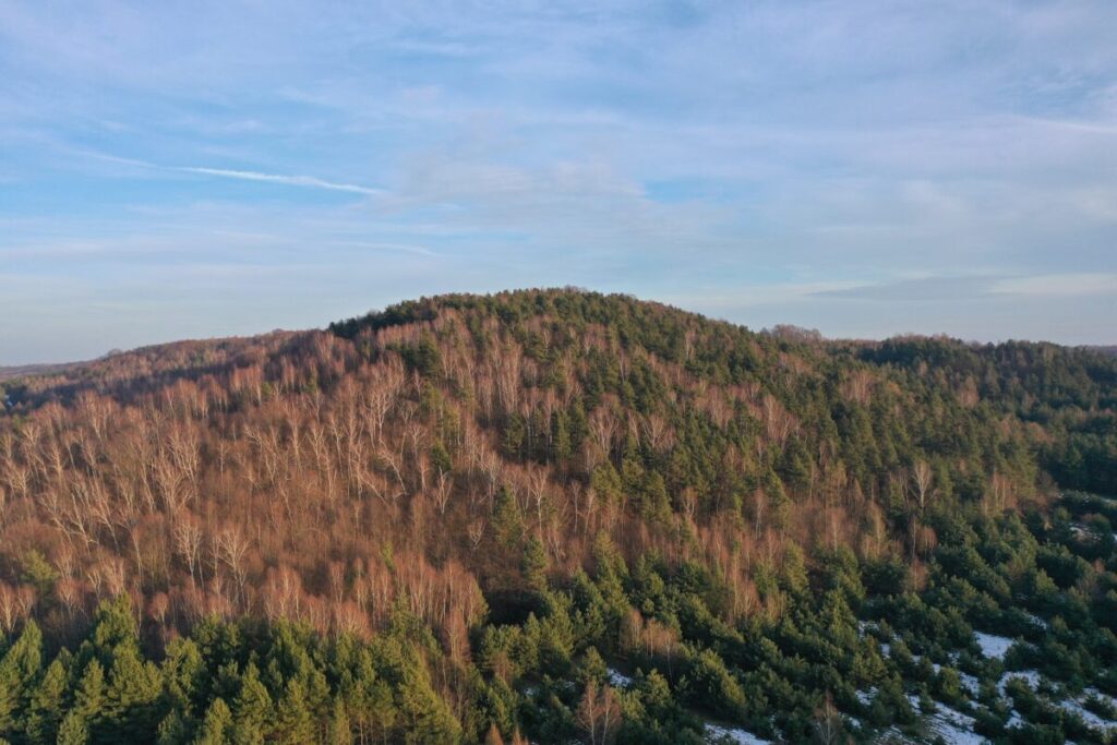 Ekologiczne ABC. Województwo śląskie bogatsze o 2 nowe rezerwaty przyrody – Góry Gorzkowskie i Babski Las. [Fotorelacja] 31