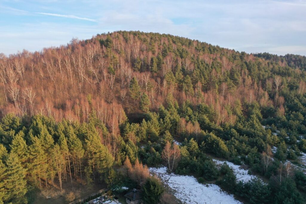 Ekologiczne ABC. Województwo śląskie bogatsze o 2 nowe rezerwaty przyrody – Góry Gorzkowskie i Babski Las. [Fotorelacja] 19