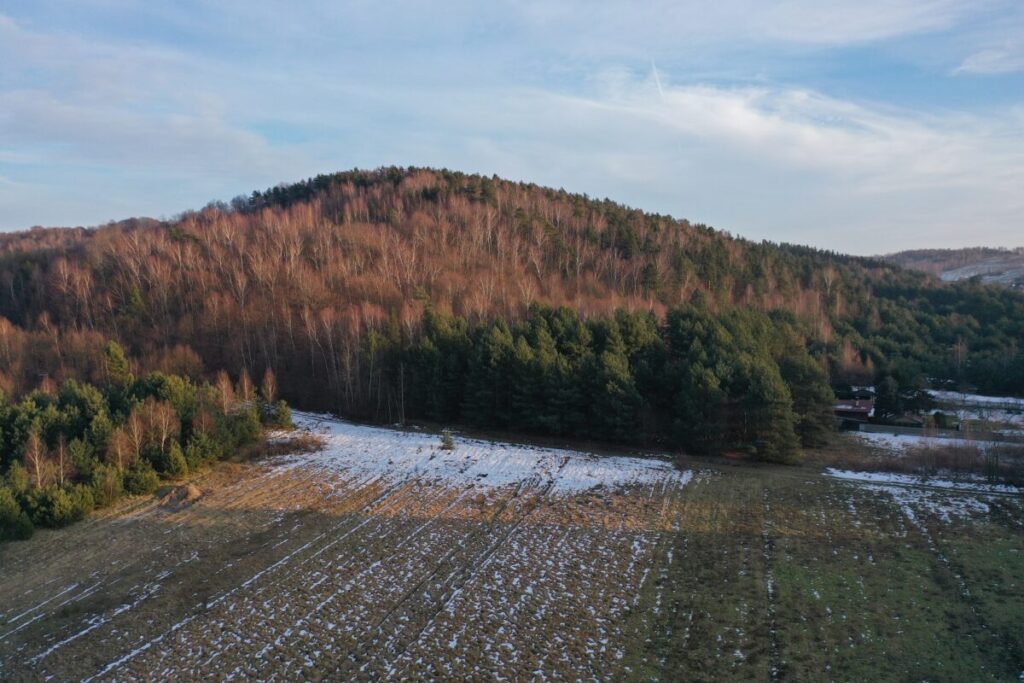 Ekologiczne ABC. Województwo śląskie bogatsze o 2 nowe rezerwaty przyrody – Góry Gorzkowskie i Babski Las. [Fotorelacja] 25