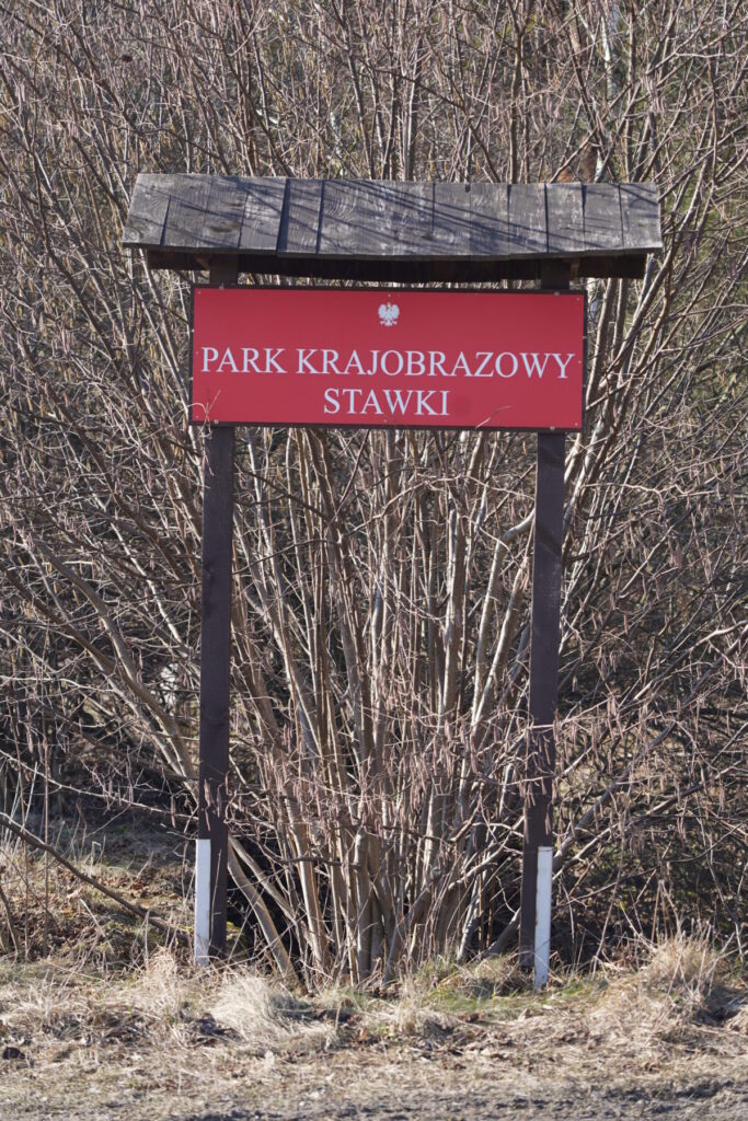 Ekologiczne ABC. Babski Las – nowy rezerwat przyrody w powiecie częstochowskim. [Fotorelacja] 52