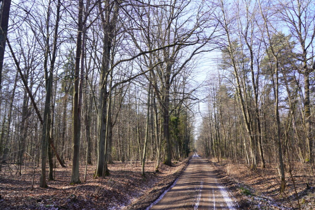 Ekologiczne ABC. Babski Las – nowy rezerwat przyrody w powiecie częstochowskim. [Fotorelacja] 10