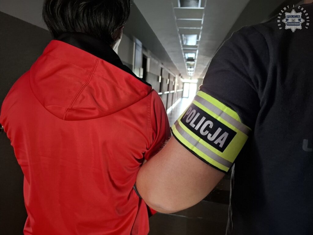 Częstochowa. Filipińczyk ugodził znajomego nożem i siekierą. Usłyszał zarzut usiłowania zabójstwa 2
